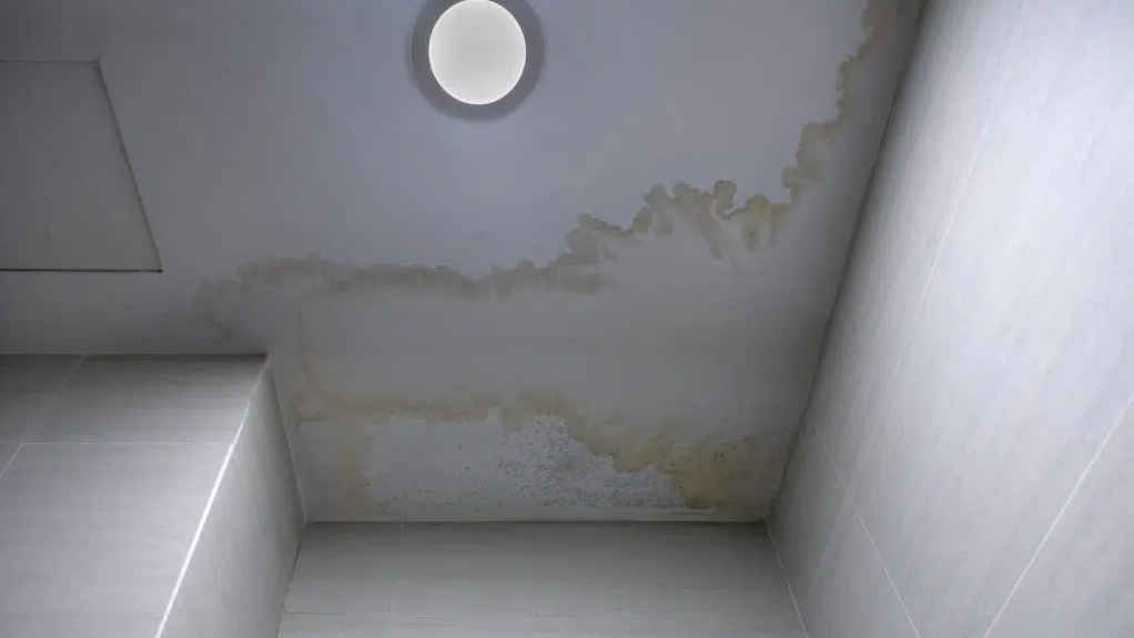 A white ceiling with dark spots of infiltration, resulting from a roofing leak.



