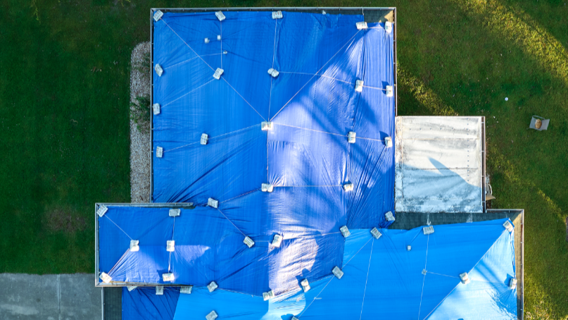 Top view of a roofing structure with a blue membrane designed to protect against water infiltration from ice dams and wind-driven rain. In the background, there is a green lawn extending from the land.